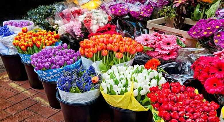 فرصت ها و چالش های صادرات گل های پرورشی